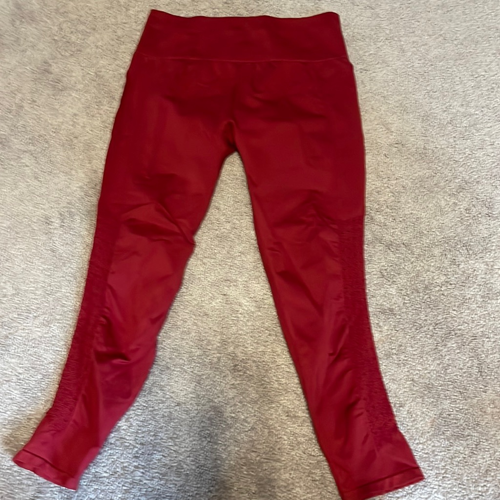 Fabletics Exercise Pants